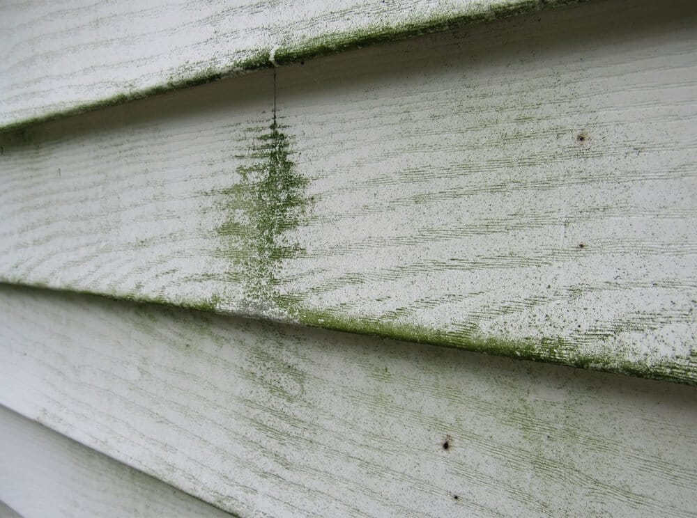 How To Remove Mildew From Wood Siding Big Easy Siding